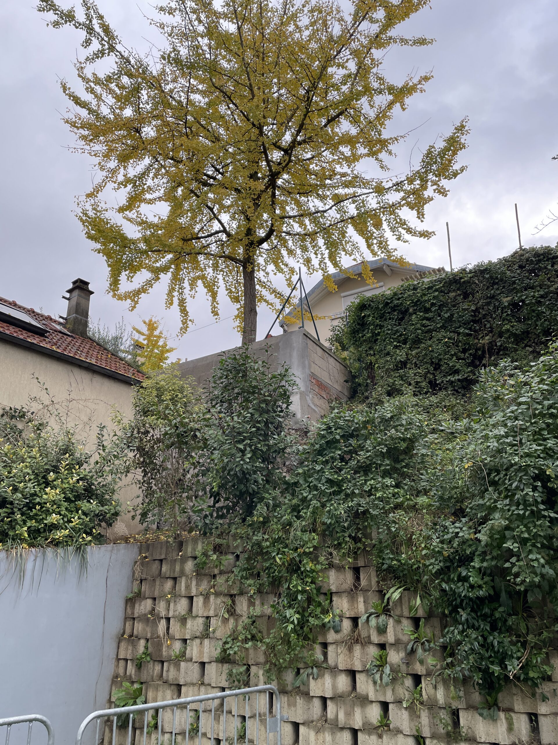 Ecole Saint-Benoist de l'Europe BAGNOLET